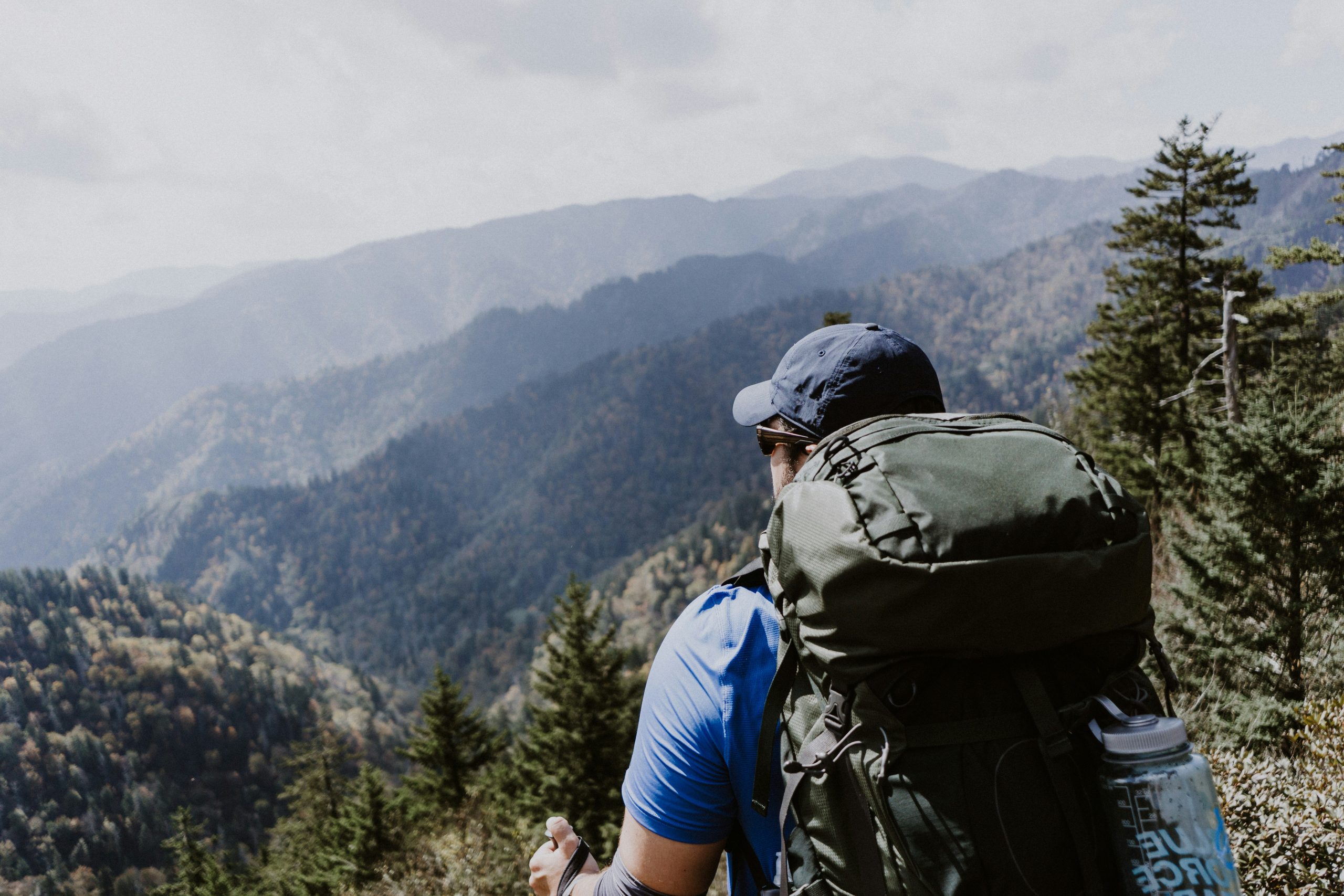Best Trails in the Smoky Mountains for Beginners – Top Easy Hikes
