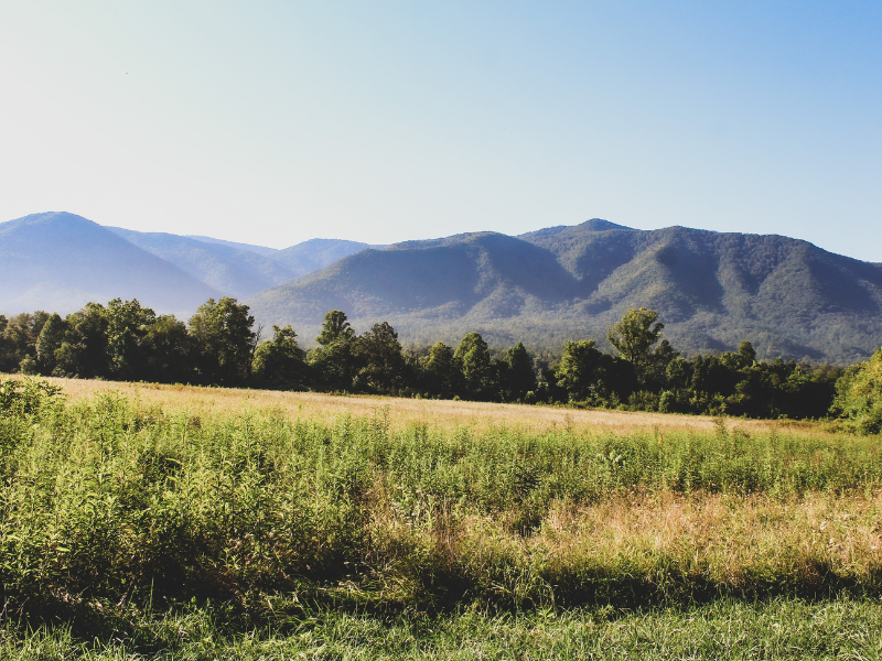 A view of Cades Cove, a beautiful proposal spot in the Smokies | Smoky Mountain Explorer